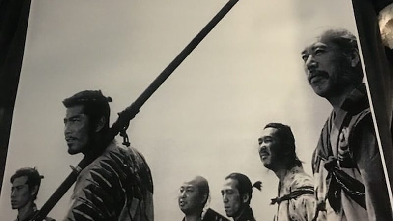 市政绿化冬季防寒：关键措施与注意事项**