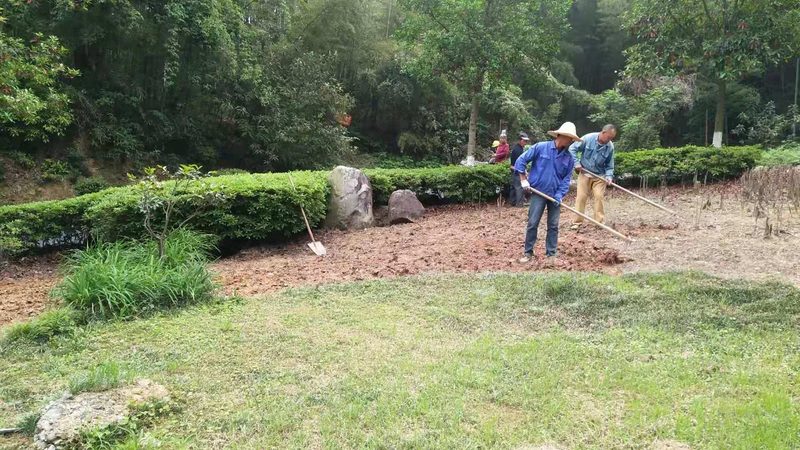 屋顶绿化种植基质安装步骤全解析**