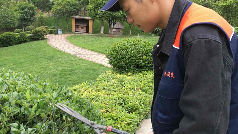 室外立体绿化灌溉系统，如何科学构建？**