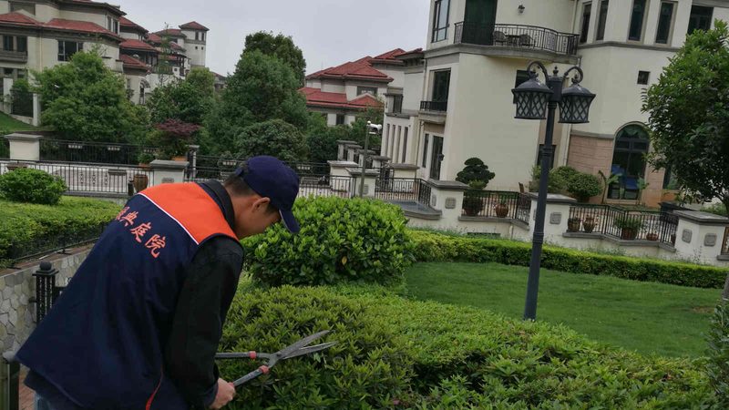 南方市政草坪草种如何选择？关键因素解析
