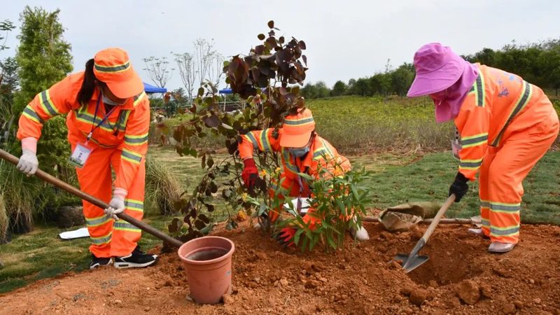 室内立体绿化墙：人工绿植与真植物的区别解析