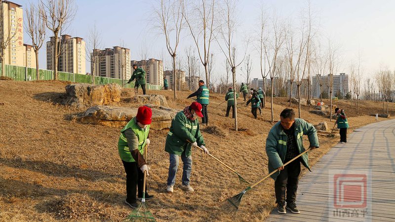 绿化养护招标中标价格：揭秘影响因素与决策要点