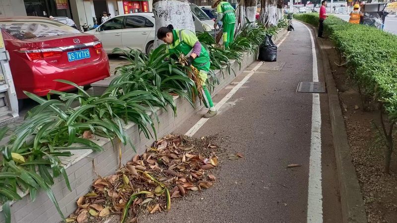 冷季型草坪打孔通气，把握最佳时机至关重要