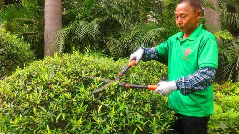 边坡绿化养护：关键环节与专业选择**