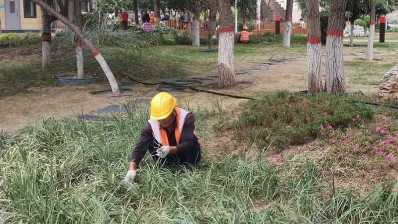 市政绿化工程招标，如何筛选优质供应商？**